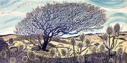Reaching to solstice limited edition lino print of Hawthorn tree by Claire Armitage