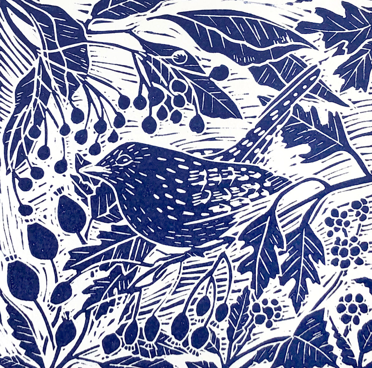 Wren limited edition lino print by Claire Armitage