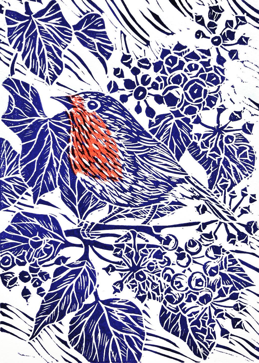 Isla's Robin limited edition lino print by Claire Armitage