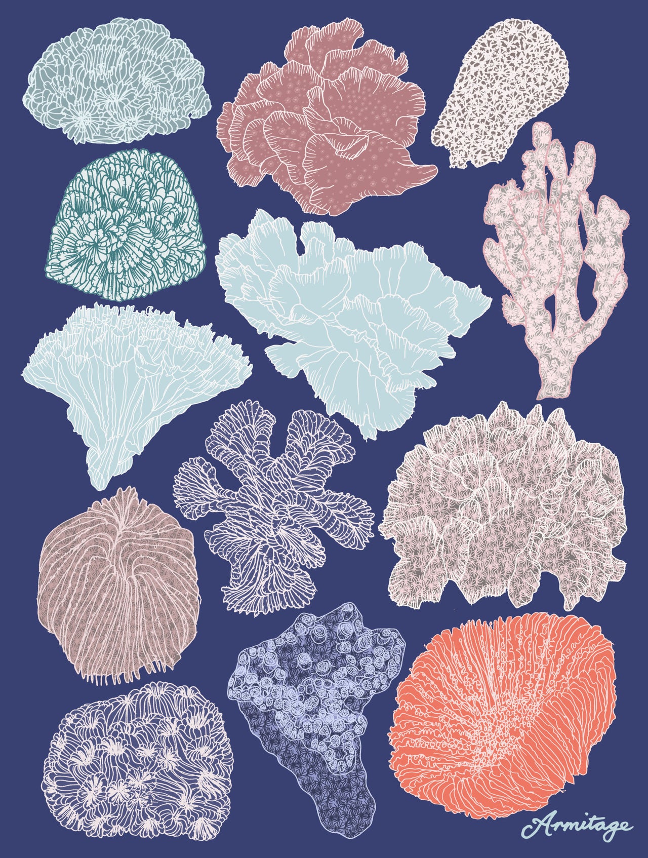 Isla's Coral Giclee Print 16 x 21 cm