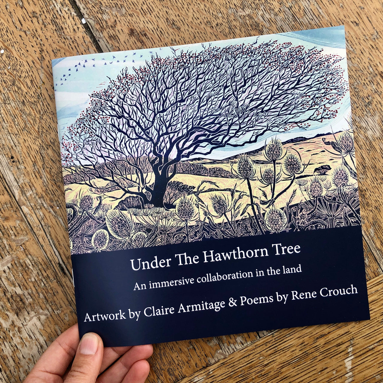 Under The Hawthorn Tree poem book by Claire Armitage and Rene Crouch